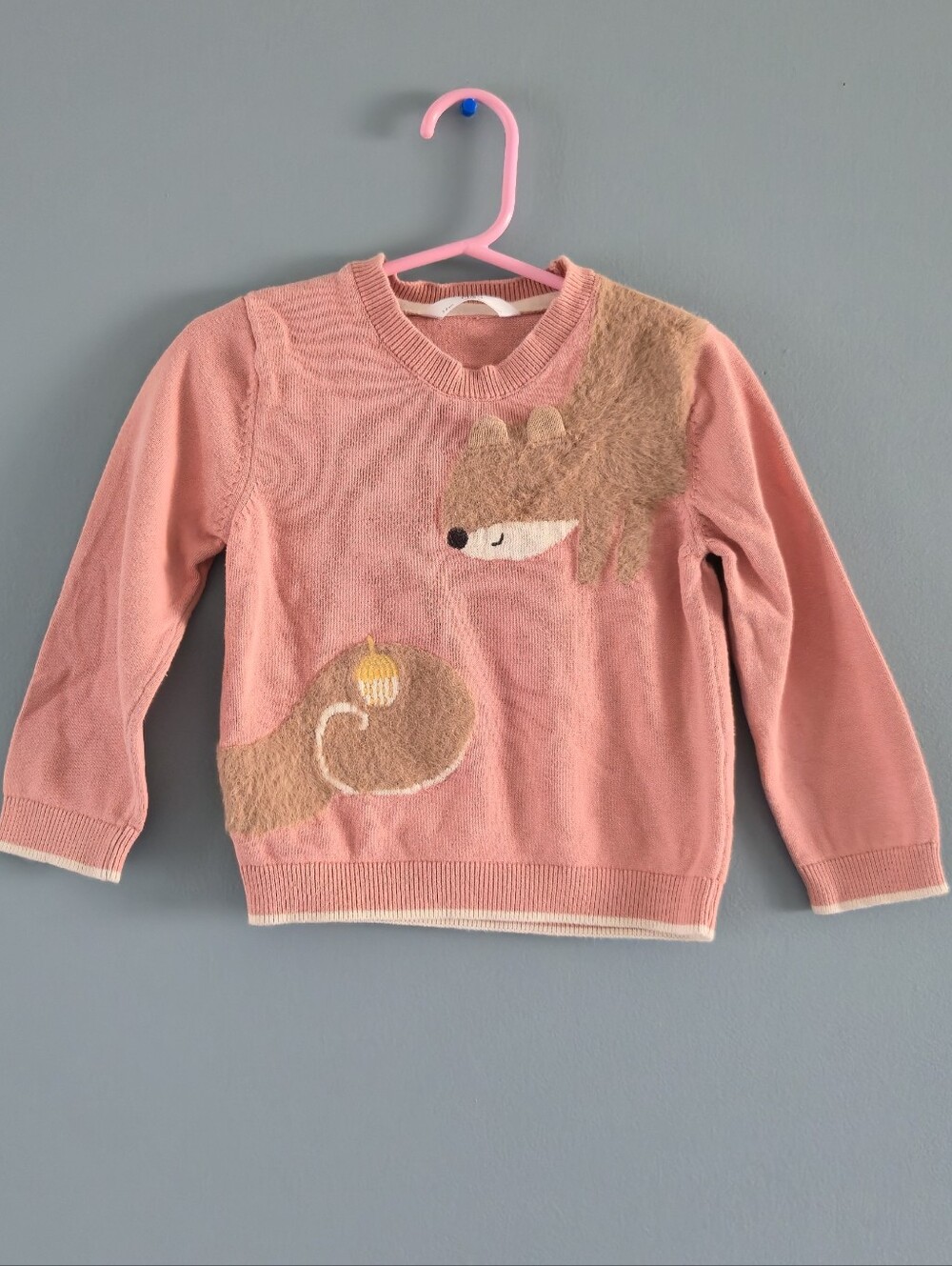 Pink Squirrel Sweater for Toddler Girl 2-3yrs
